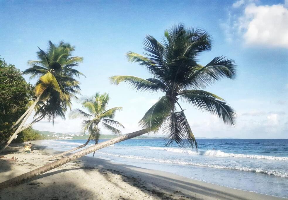 Superbe Studio, A 20 Metres De La Plage, Acces Direct Grande Plage Diamant Ле Диамант Екстериор снимка