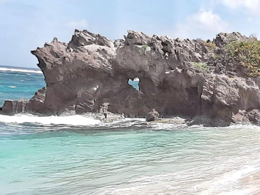 Superbe Studio, A 20 Metres De La Plage, Acces Direct Grande Plage Diamant Ле Диамант Екстериор снимка